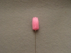 Tulipán na drátě, 2,2 x 4,5cm, 5ks ve svazku